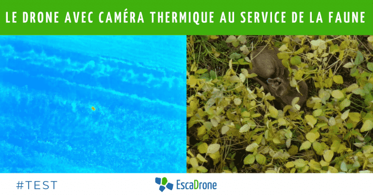 Le drone avec caméra thermique au service de l’environnement