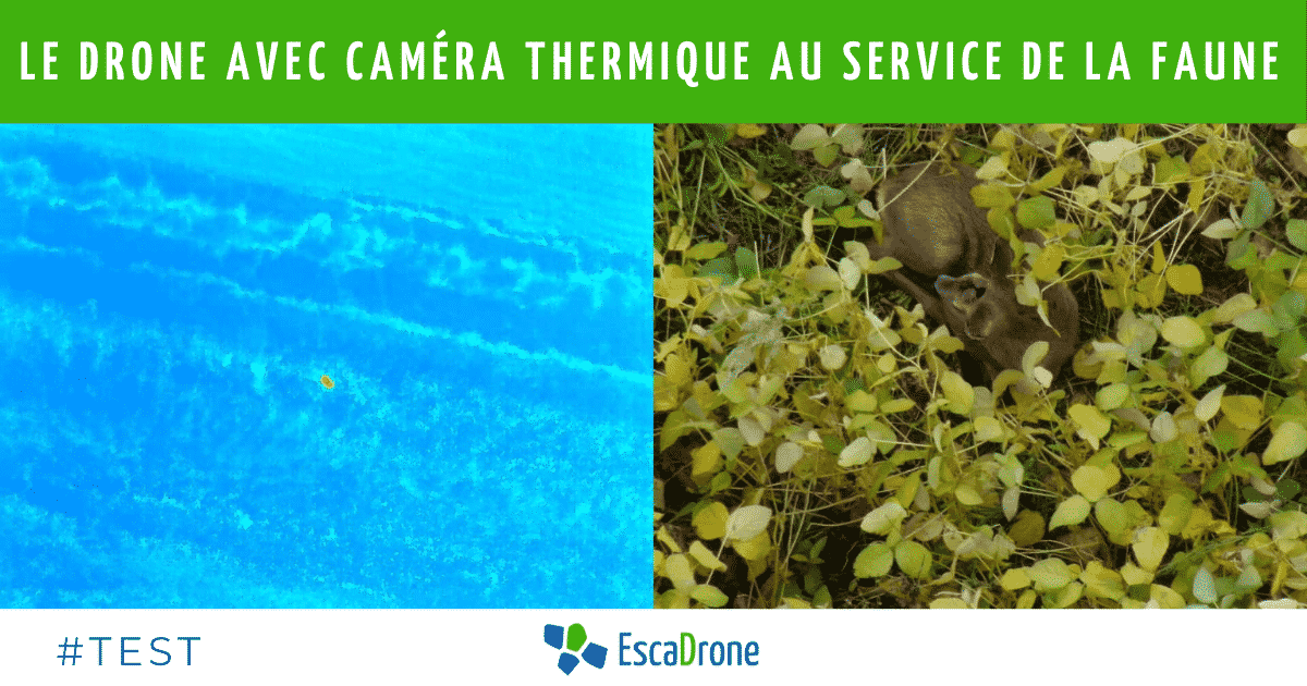 drone camera thermique environnement
