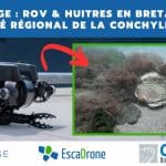 Cas d’usage : ROV & conchyliculture en Bretagne avec CRC Sud