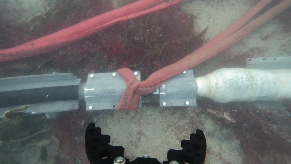Vue sous-marine d'une pince robotisée s'approchant d'un dispositif mécanique reliant deux gros câbles, l'un rouge et l'autre blanc, posés sur les fonds marins au milieu des algues.